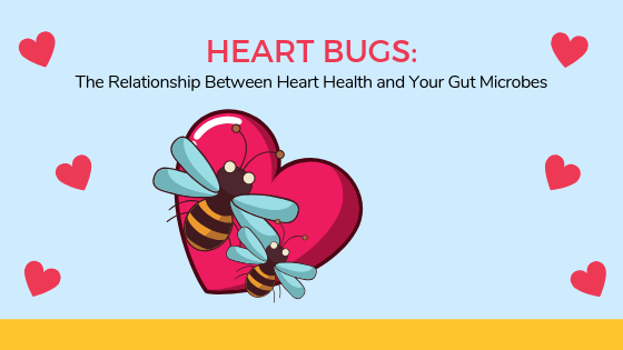 Heart Bugs: The Relationship Between Heart Health and Your Gut Microbes